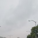 소트리팜 | [ 강화도 소트리팜 ] 인천광역시 강화도 소트리팜 후기~!!
