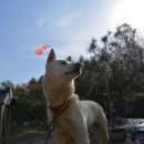 청안농장 이미지