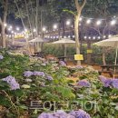 통기타(야간) 이미지