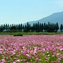 덕산온천관광단지 이미지