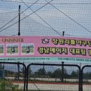 북면수변공원(야구장) 이미지