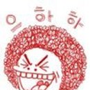 꼬야