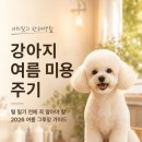 에스핏클럽(S-fit club) | 강아지 여름 미용 주기 | 털 밀기 전에 꼭 알아야 할 2026 여름 그루밍 가이드
