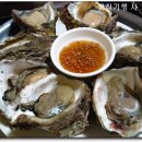 바다가고향 이미지