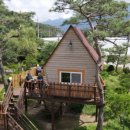 경희농장 이미지