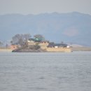 황도리