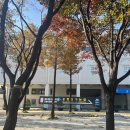 (주)에이드 | 목동주경기장 파워에이드 오픈트레이닝 행사 참여 후기(20231118)