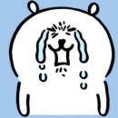 이정숙 | [속초맛집] 이정숙 왕손만두 찐빵 추천 후기🥟