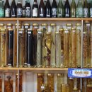 억수삼계탕 이미지