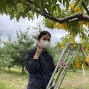 정용목장 이미지