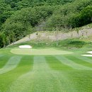 강원랜드골프클럽 이미지