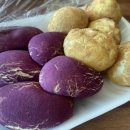 서울떡집
