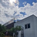 포레스트 G2 이미지