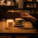 필립스(장미) | 스타벅스 향초 수향 캔들 실물 후기와 구매 방법