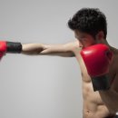 팀 몬스터 복싱 이미지