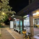 하단본약국 | 약국 복대 허리교정밴드 3종 비교 사용한 후기