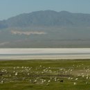 백양목장 이미지