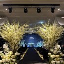 더뷰티호텔 이미지