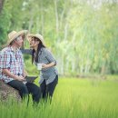 주민들이 재건축을 수용하게 만들기 위한 인센티브는 어떤 게 있을까? 이미지