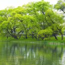 동도초등학교 이미지