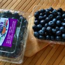 유현농장 이미지