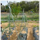 주대농장 이미지