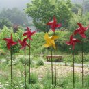 허브와풍뎅이 이미지