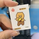 [21] 정확한 내 키는! | 운동 안 하는 아이의 1일 3등산 (인왕산 남산 낙산) | 가을을 눈으로 담은 시간