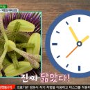 플랜미디어 이미지