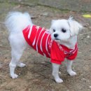 진주보건대학교 이미지