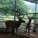 행복농장 6 이미지