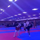 한국 드림 태권도 이미지