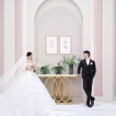 밍스냅 | W6. 부산 본식 스냅 계약 후기 (밍스냅, 그랜드모먼트 시그니처홀)
