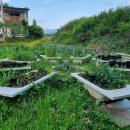 푸르미농장 | 6월 8~9일 그룹우프@CB_104 푸르미 농장