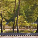 백설세탁소2 중앙일보