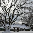 덕산도립공원 수덕사 주차장 이미지