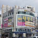 괴정초등학교 | 사하구 대티 괴정 미용실 추천 바이뮤트헤어 탄 머리 복구 클리닉 후기