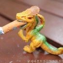 연세바로본의원 네이버블로그