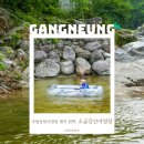 구룡농업 협동조합 | 강릉 오대산 소금강산 야영장 Ι 국립공원 야영장 마스터한 뒤 추천하는 물놀이 계곡 야영장 1티어