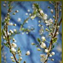 강원대학교 동물생명과학대학 부속목장 이미지