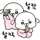 해넘이 숲속마을 이미지
