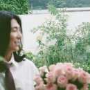 보색의연정필름 이미지