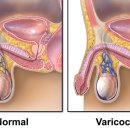 시원비뇨의학과의원 이미지