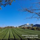 서들농장 이미지