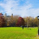 센트럴파크 11 이미지