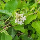 전주이씨 희령군파 묘역 이미지