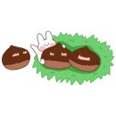 힐링원예 가드닝 이미지