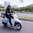 플로라 이미지