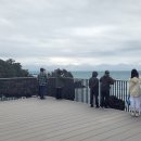 중문대포주상절리대 이미지