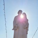 구상목장 이미지